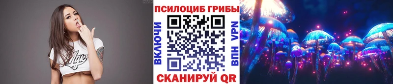 kraken как зайти  Кашин  Псилоцибиновые грибы Cubensis  купить наркоту 